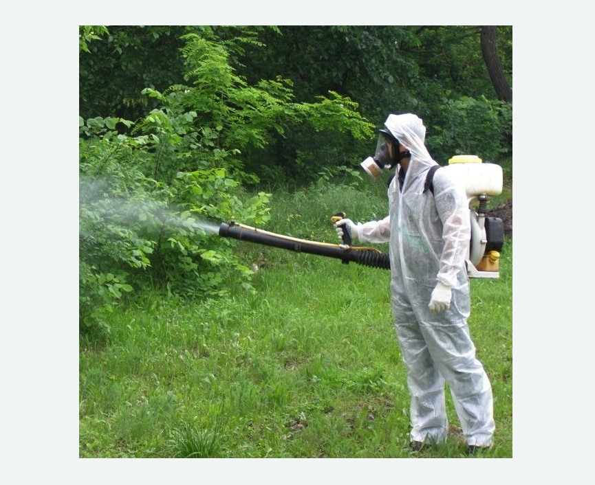 обработка территории от клещей в Светлограде