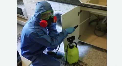 Уничтожение муравьев в квартире. Светлоград