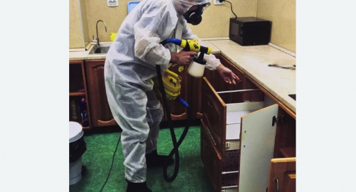 Дезинсекция квартиры. Светлоград
