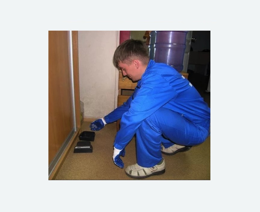 Дератизация крыс в Светлограде