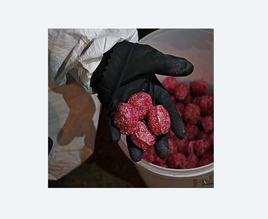 Обработка от крыс в Светлограде