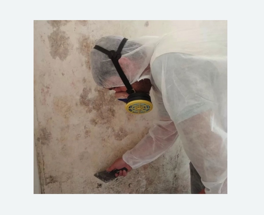 Обработка стен от плесени в Светлограде