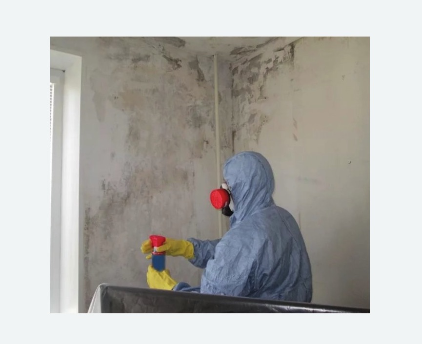 Удаление плесени в квартире в Светлограде