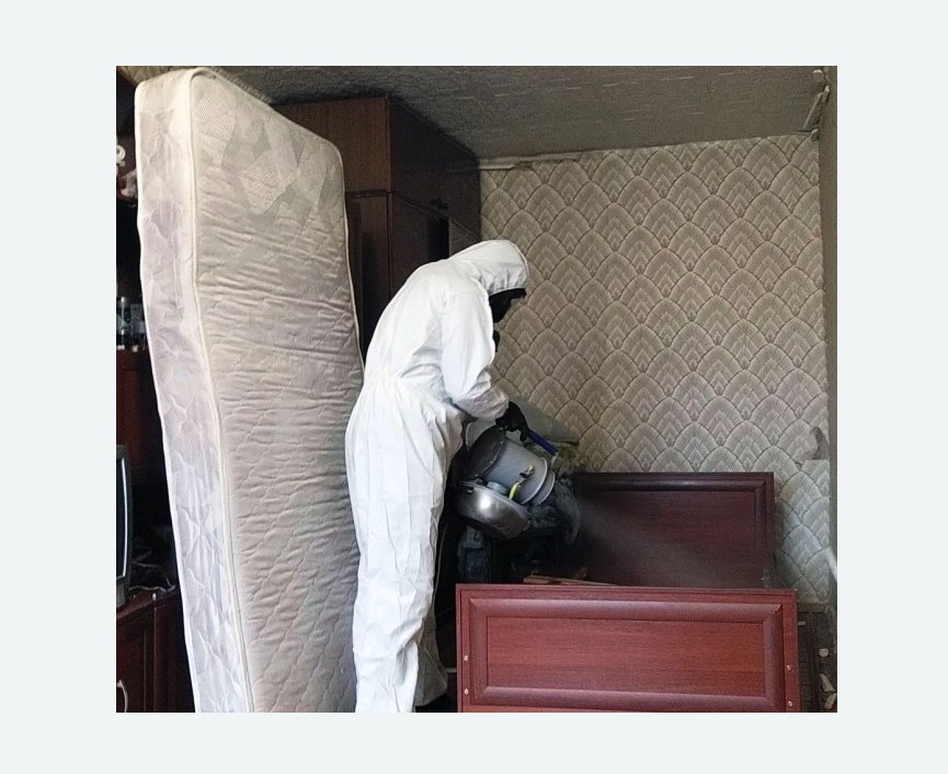 дезинфекция от клопов в Светлограде