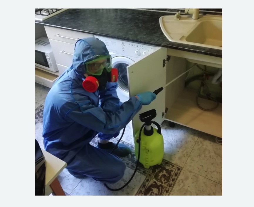 обработка от муравьев в квартире в Светлограде