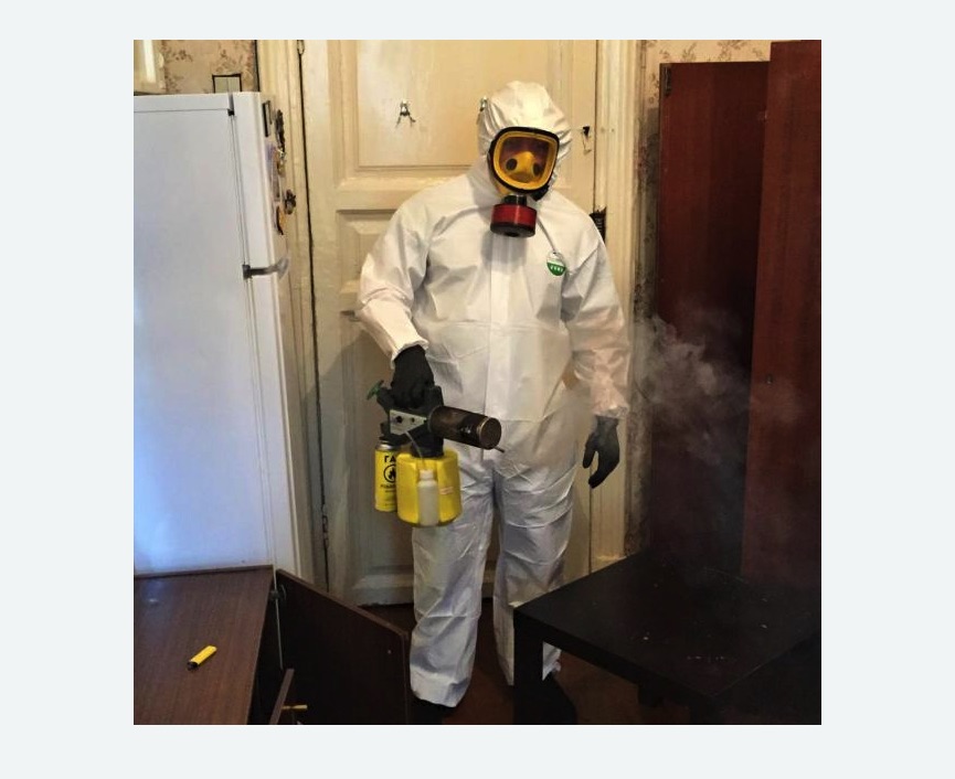 уничтожение муравьев в квартире в Светлограде